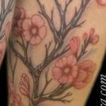 Tattoos - Cherry Blossoms - 102191